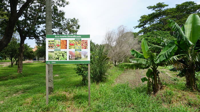 La zona degli orti della Hacienda