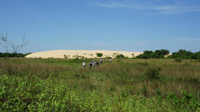 Dalla foresta tropicale alla pampa